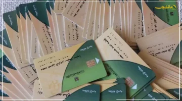 حافظ على دعمك.. هكذا تُحدّث بطاقة التموين أونلاين عبر منصة مصر الرقمية 1